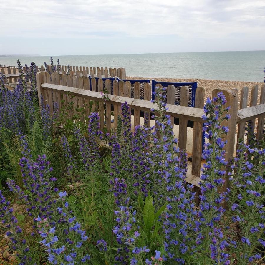 Beachfront Studio Pevensey Dış mekan fotoğraf